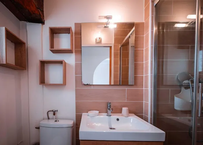 公寓 Pause Sur La Place Royale