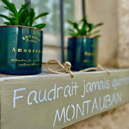 Pause Sur La Place Royale